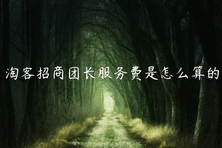 淘客招商團長服務(wù)費是怎么算的